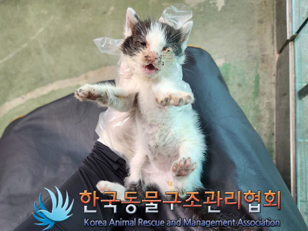종료(자연사) 한국…